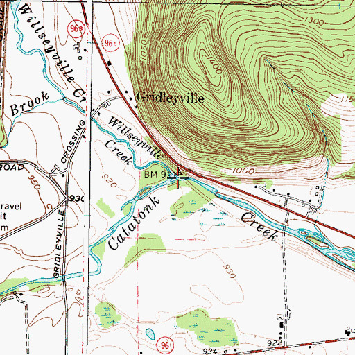 Topographic Map of Willseyville Creek, NY