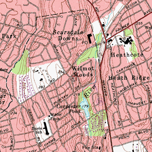 Topographic Map of Wilmot Woods, NY