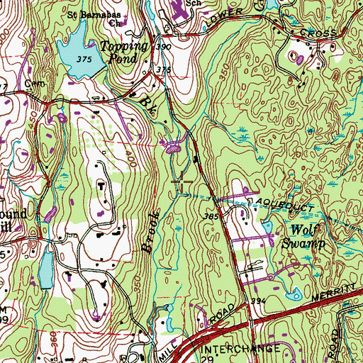 Topographic Map of Wilshire Pond Brook, NY