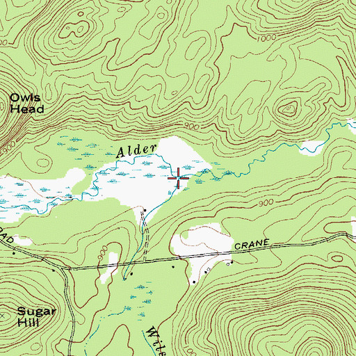 Topographic Map of Wilson Brook, NY