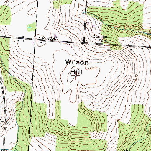 Topographic Map of Wilson Hill, NY