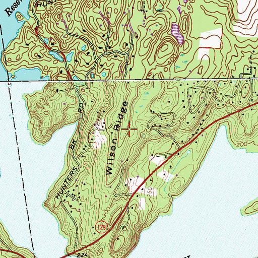 Topographic Map of Wilson Ridge, NY