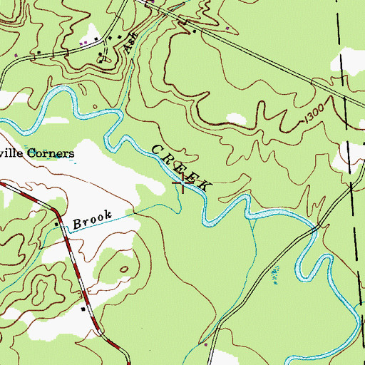 Topographic Map of Wilt Brook, NY