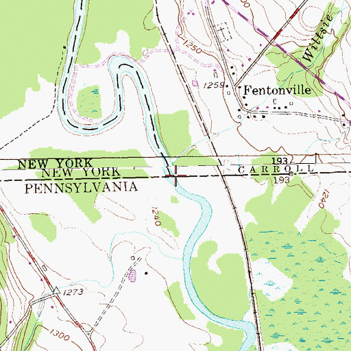 Topographic Map of Wiltsie Run, NY