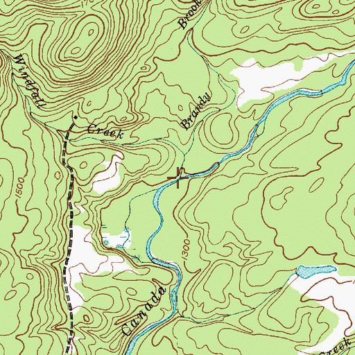 Topographic Map of Windfall Creek, NY