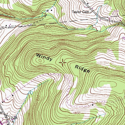 Topographic Map of Windy Ridge, NY