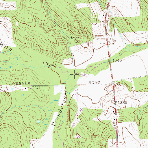 Topographic Map of Wing Creek, NY
