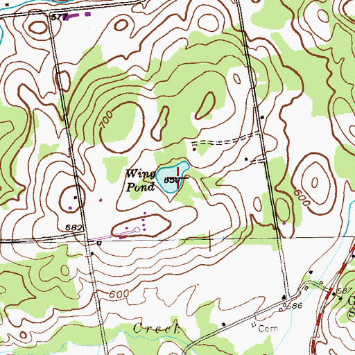 Topographic Map of Wing Pond, NY