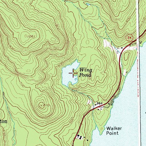 Topographic Map of Wing Pond, NY