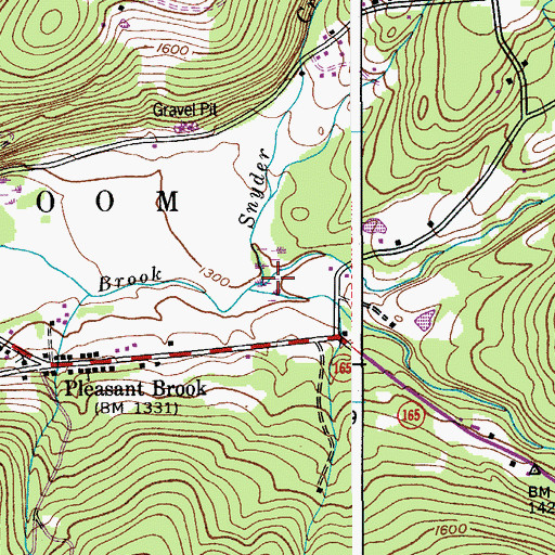 Topographic Map of Winnie Hollow, NY