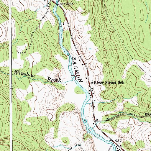 Topographic Map of Winslow Brook, NY