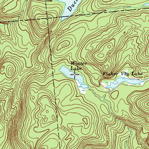 Topographic Map of Winter Lake, NY