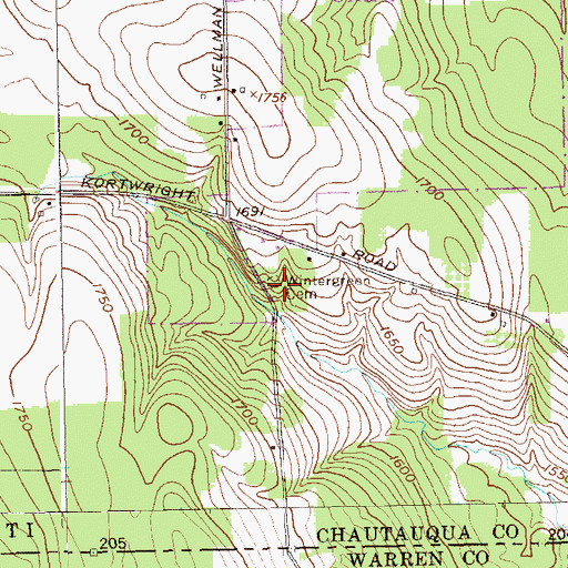 Topographic Map of Wintergreen Cemetery, NY