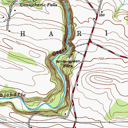 Topographic Map of Wintergreen Flats, NY