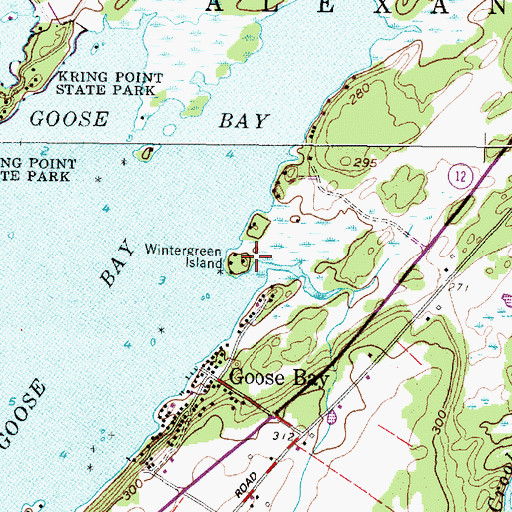 Topographic Map of Wintergreen Island, NY