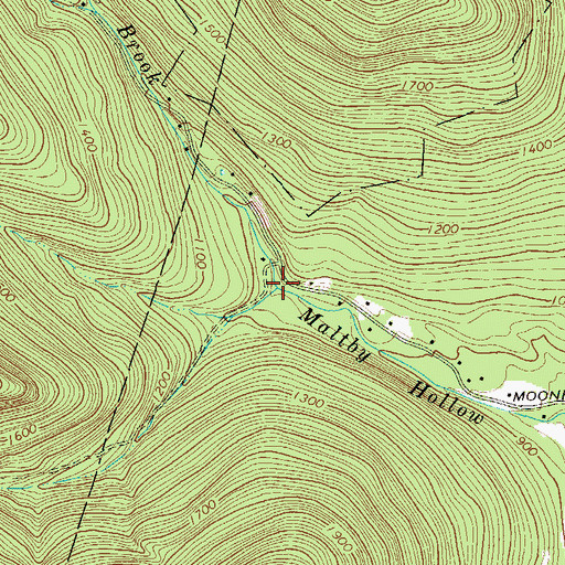 Topographic Map of Wittenberg Brook, NY