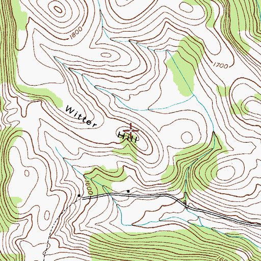 Topographic Map of Witter Hill, NY