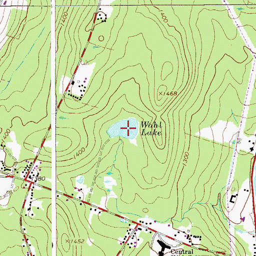 Topographic Map of Wohl Lake, NY