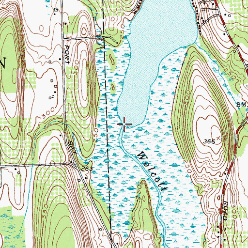 Topographic Map of Wolcott Creek, NY