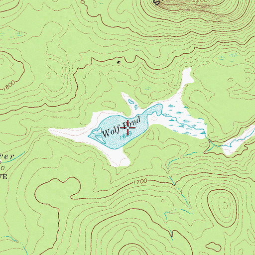 Topographic Map of Wolf Pond, NY