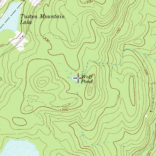 Topographic Map of Wolf Pond, NY