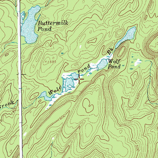 Topographic Map of Wolf Pond, NY