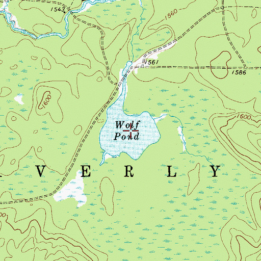 Topographic Map of Wolf Pond, NY