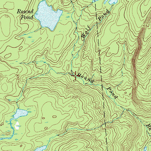 Topographic Map of Wolf Pond Brook, NY