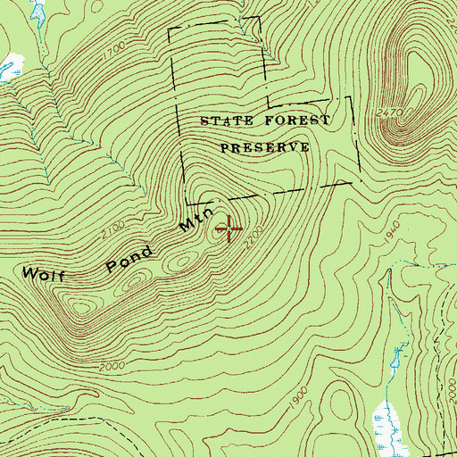 Topographic Map of Wolf Pond Mountain, NY