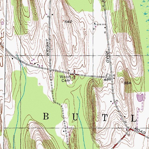 Topographic Map of Wood Cemetery, NY