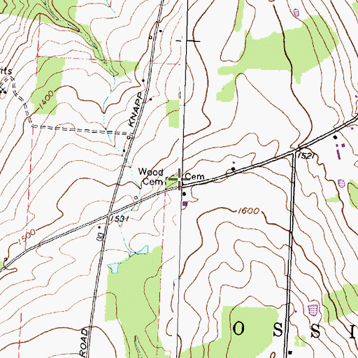 Topographic Map of Wood Cemetery, NY