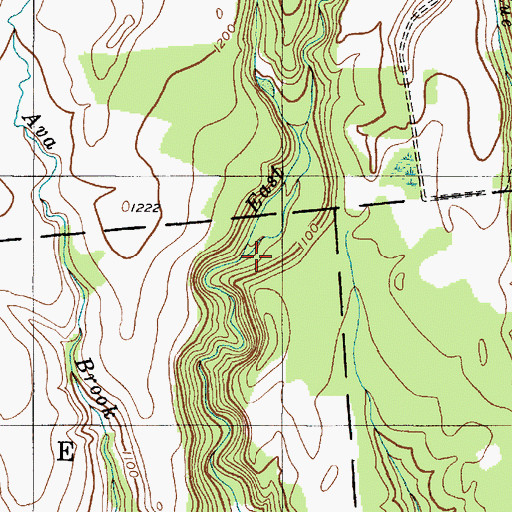 Topographic Map of Wood Creek, NY