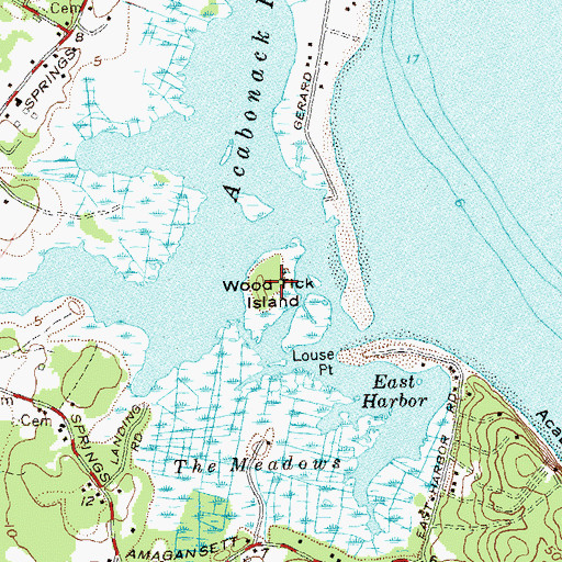 Topographic Map of Wood Tick Island, NY