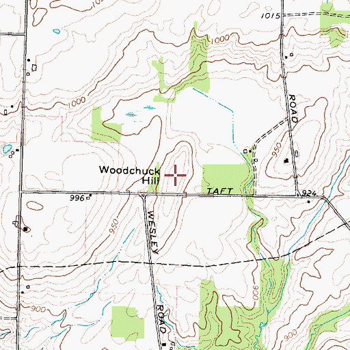 Topographic Map of Woodchuck Hill, NY