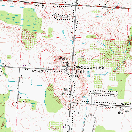 Topographic Map of Woodchuck Hill, NY