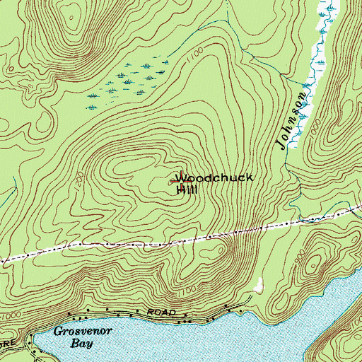 Topographic Map of Woodchuck Hill, NY