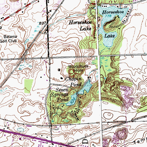 Topographic Map of Woodchuck Hole, NY