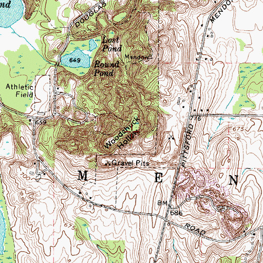 Topographic Map of Woodchuck Hollow, NY
