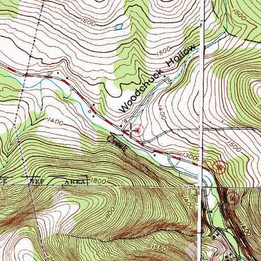 Topographic Map of Woodchuck Hollow, NY