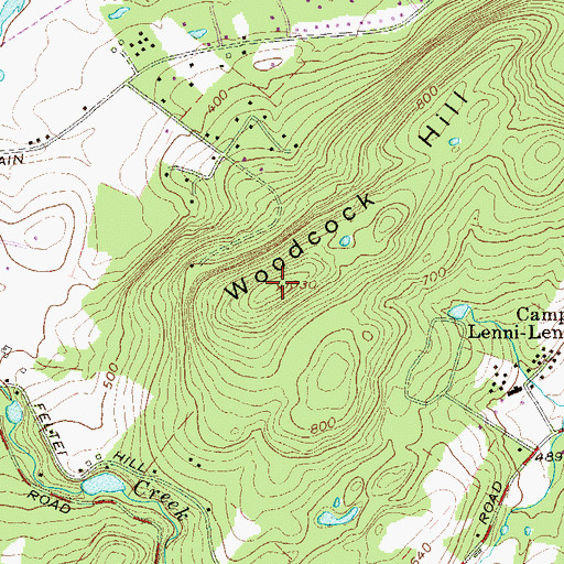 Topographic Map of Woodcock Hill, NY
