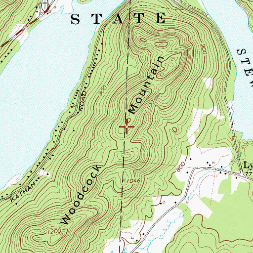 Topographic Map of Woodcock Mountain, NY