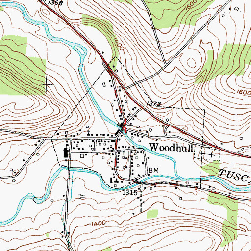 Topographic Map of Woodhull, NY