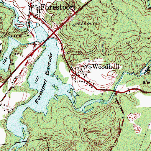 Topographic Map of Woodhull, NY