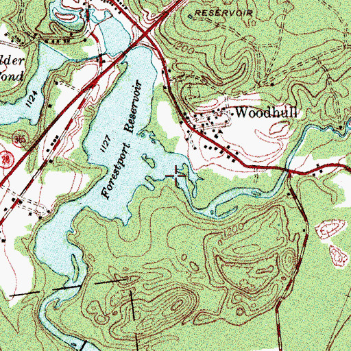 Topographic Map of Woodhull Creek, NY