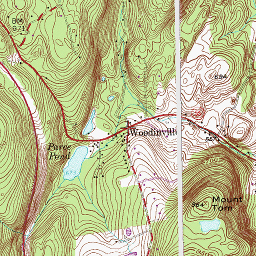 Topographic Map of Woodinville, NY