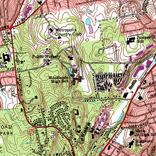 Topographic Map of Woodlands High School, NY