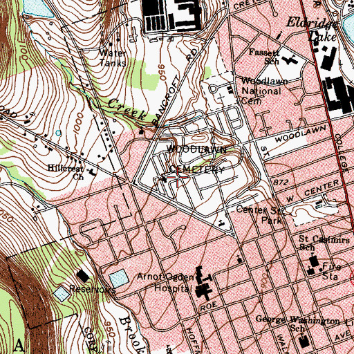 Topographic Map of Woodlawn Cemetery, NY