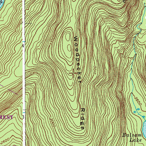 Topographic Map of Woodpecker Ridge, NY