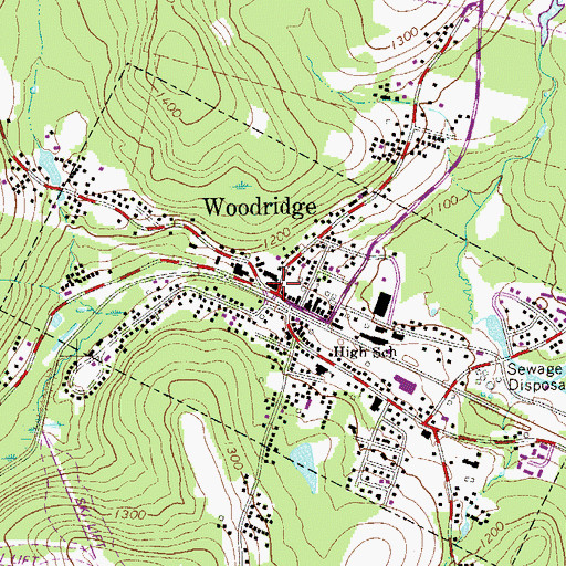 Topographic Map of Woodridge, NY
