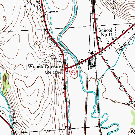 Topographic Map of Woods Corners, NY